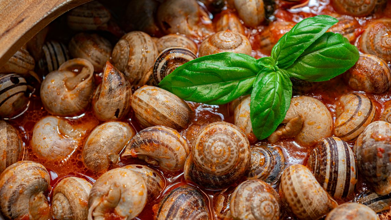 O cardápio para a festa de San Giovanni traz sorte! Lá está ele