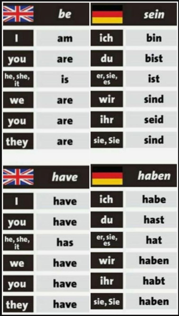 verb be and have in German