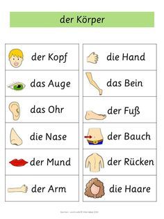 German Word Walls – Basic Vocabulary