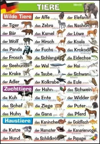 Ich liebe Deutsch added a new photo —… – Ich liebe Deutsch